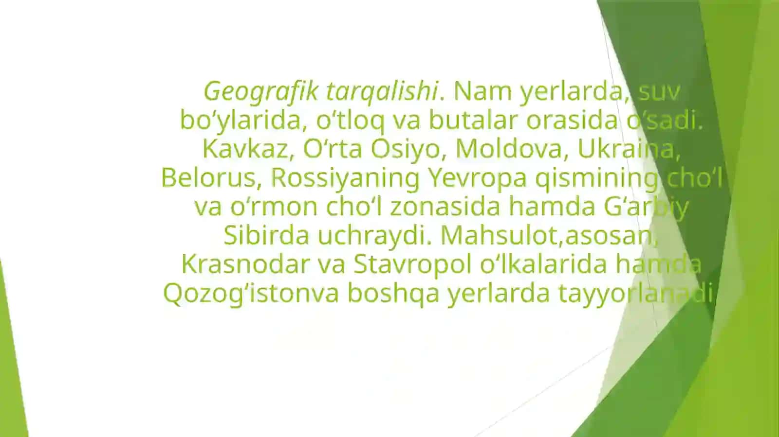 Sarıqandiz (Девясил желтый) Inulagrands L ni yetishtirish texnologiyasi 4