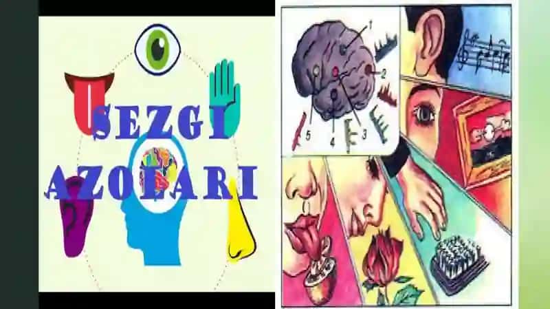 Retseptorlarda informatsiyalarni oʻzgartirilishining biofizikaviy mexanizmlari. Tam va hid bilish nazariyasining biofizikaviy asoslari 4