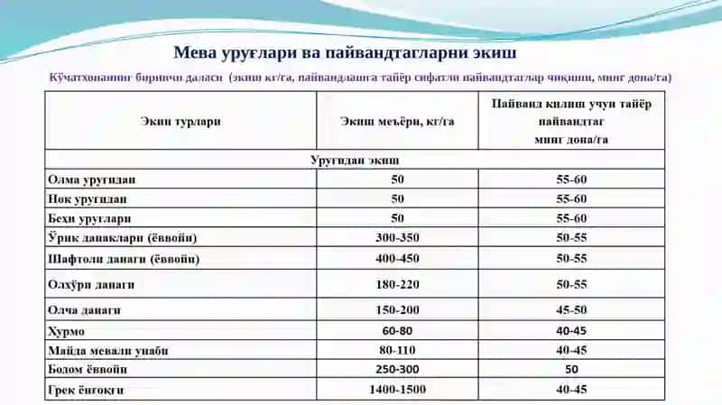 Мевали экинларнинг кўчатларини кўпайтириш усуллари ва етиштириш технологияси 4