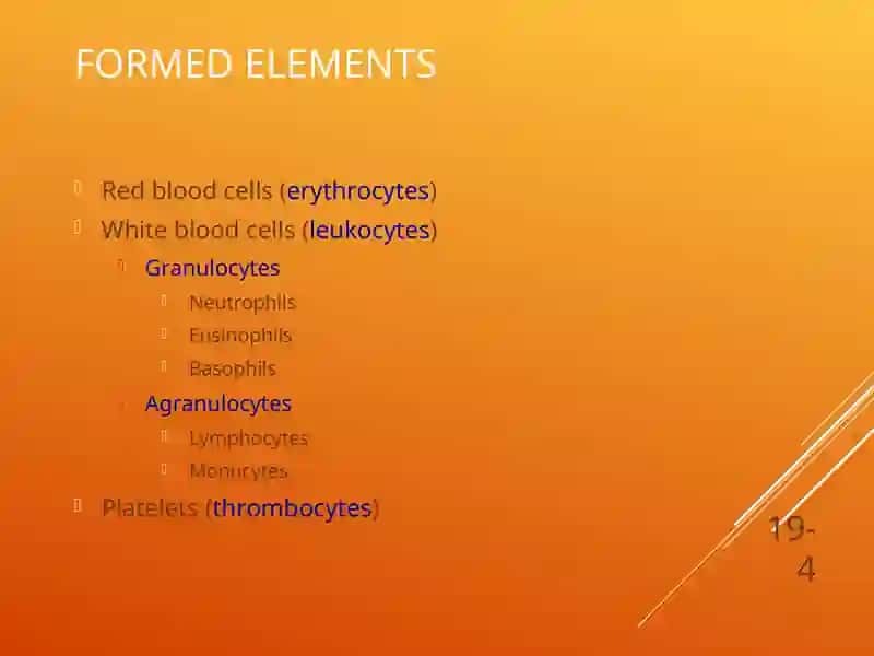 Cardiovascular System, blood 4