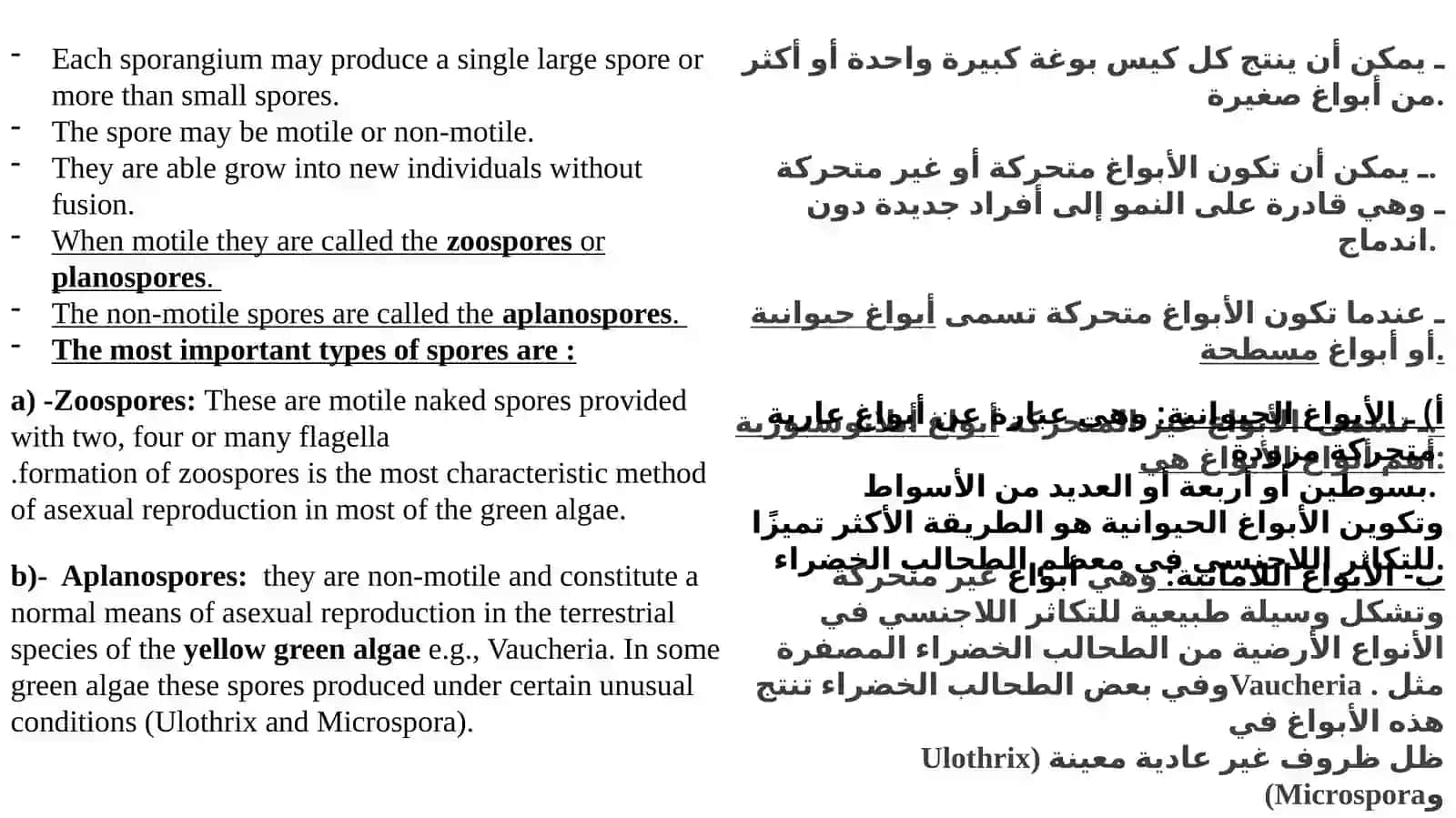 Algal flagella(Part Two) 4