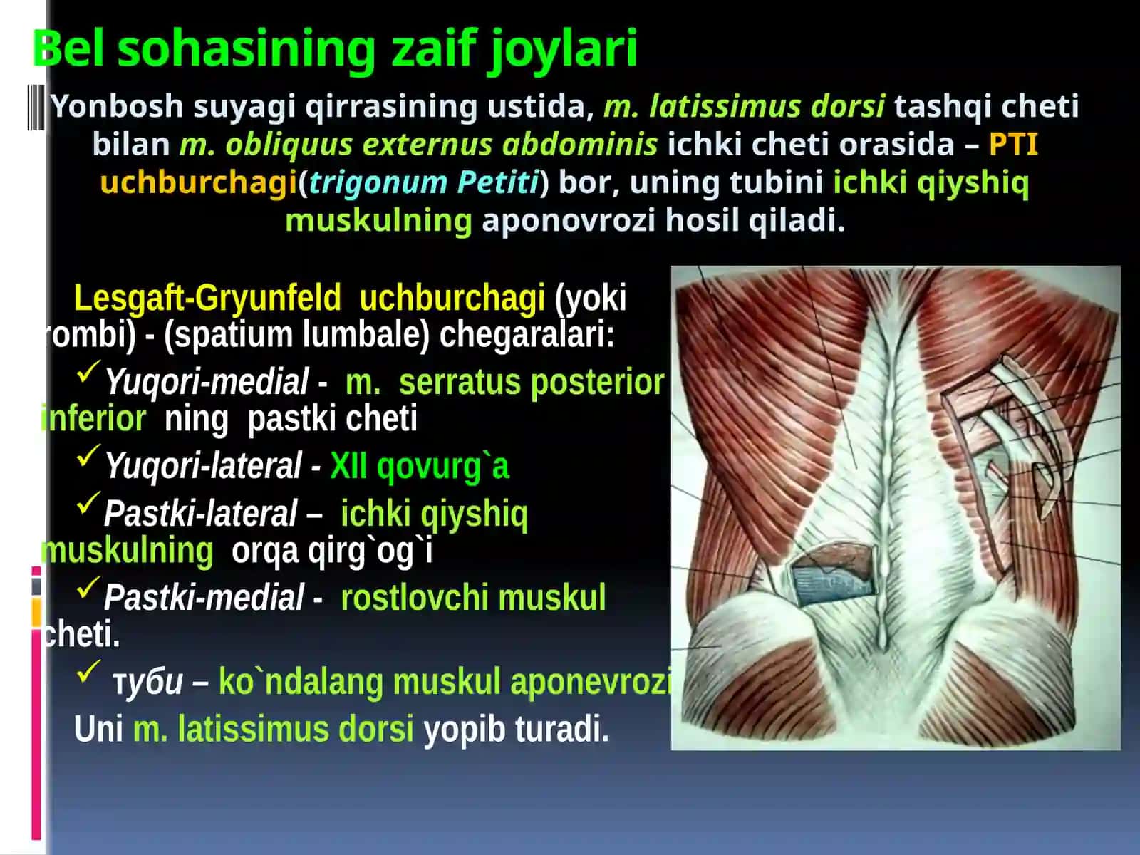 BELSOHASI VА QORIN PARDA ORQA BO`SHLIG`NING KLINIKANATOMIYASI VA OPERATSIYALARI.BUYRAKVАSIYDIKYO`LLARIDAOPERATSIYALAR 4