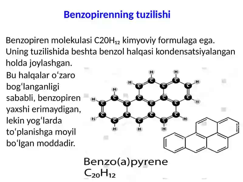 Tamakidagi benzopirenning o‘pkada neoplastik jarayonlar rivojlananishidagi ahamiyati 4