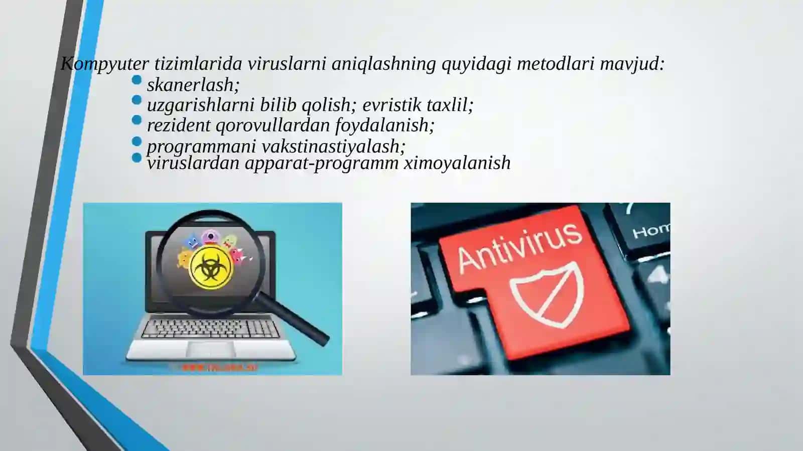 Viruslar haqida tushuncha 4
