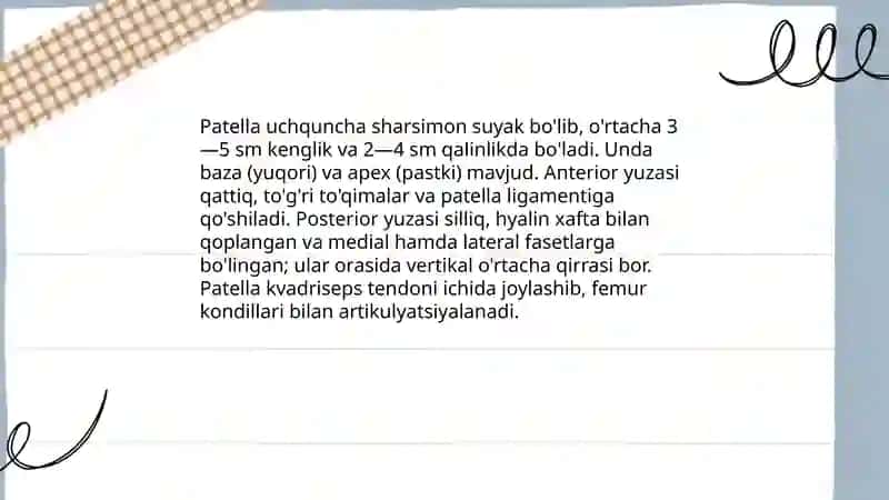 Son boldir, Oyoq kaft usti suyaklarining anatomiyasi 4