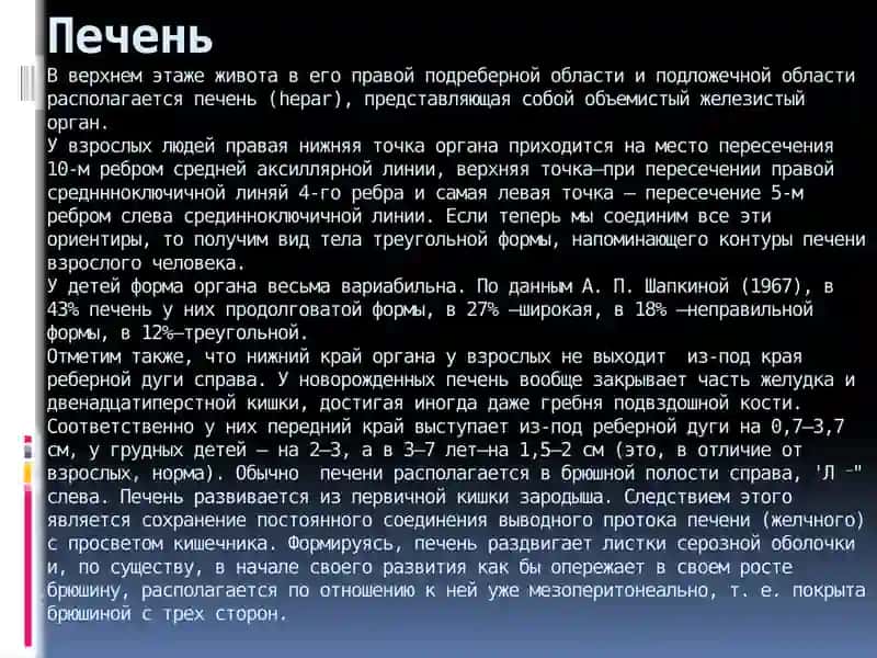 Топография брюшной полости 4