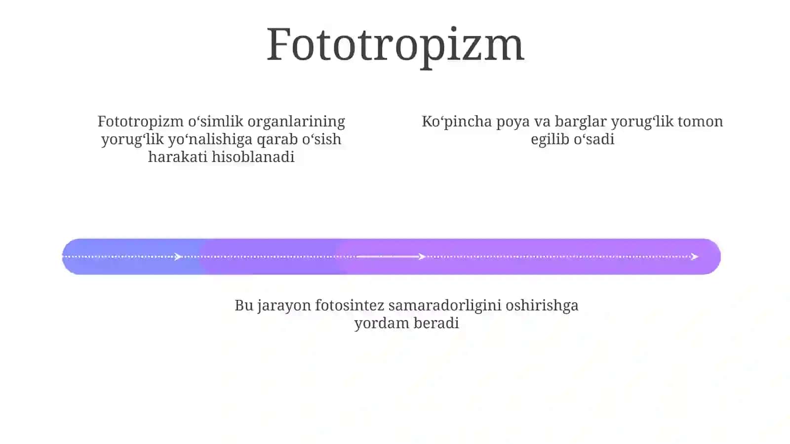 Fototropizm, fotonastiya, geotropizm va taksis 4