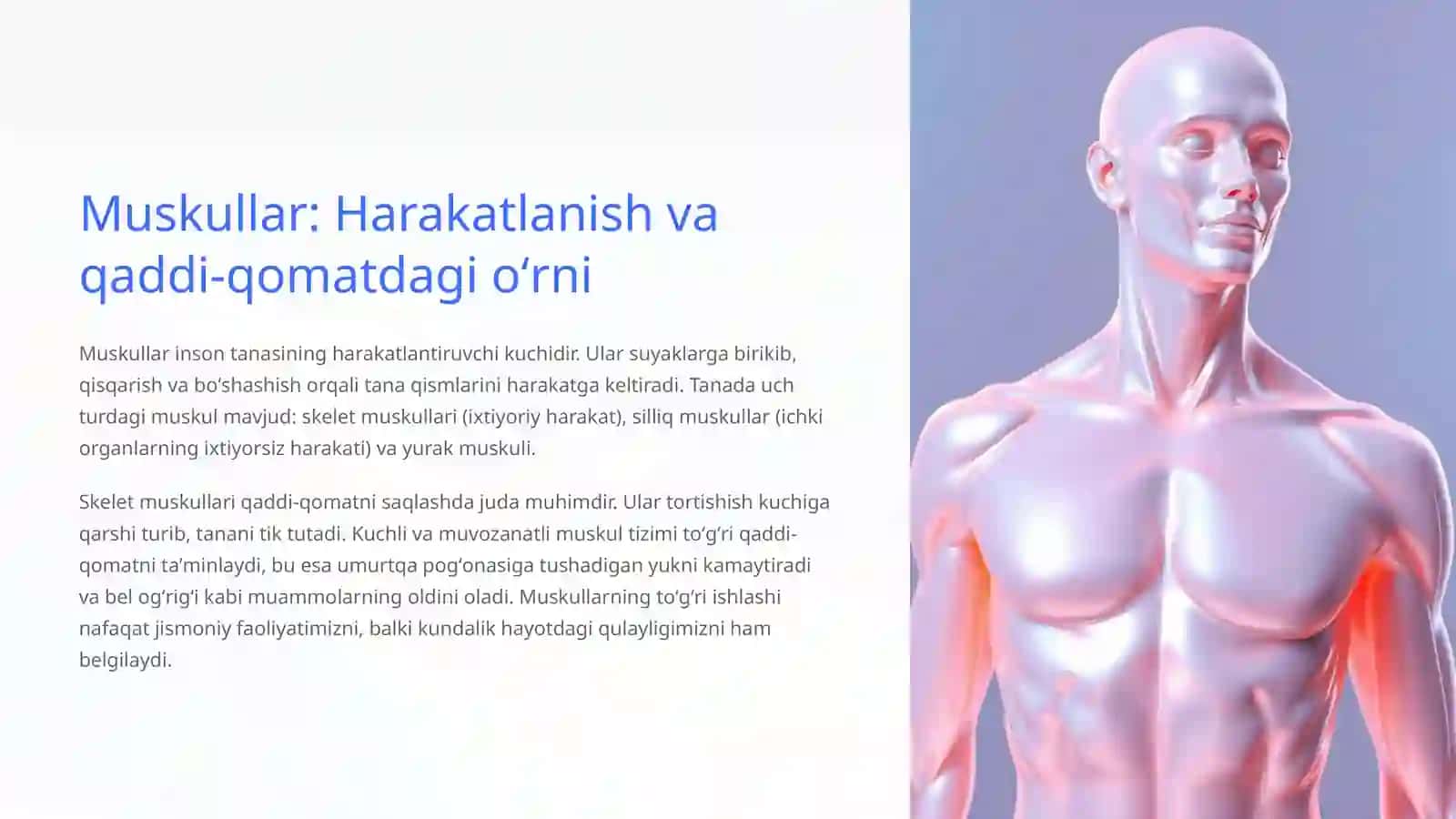 Tayanch-harakatlanish tizimi: Qaddi-qomat, salomatlik va kasalliklar 4