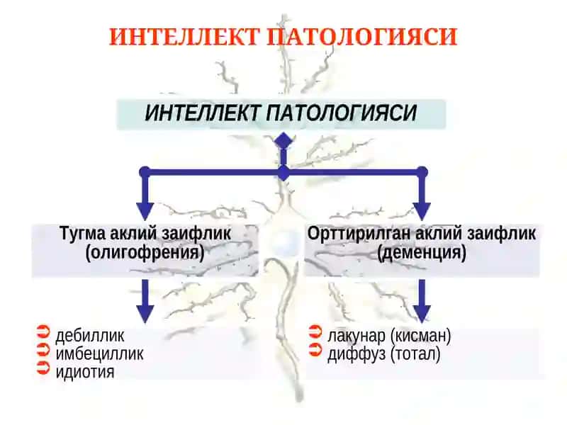 Интеллект патологияси ва синдромлари. Олигофрения 4