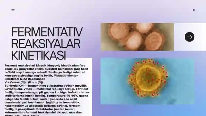 Fermentlarning ahamiyati. 4