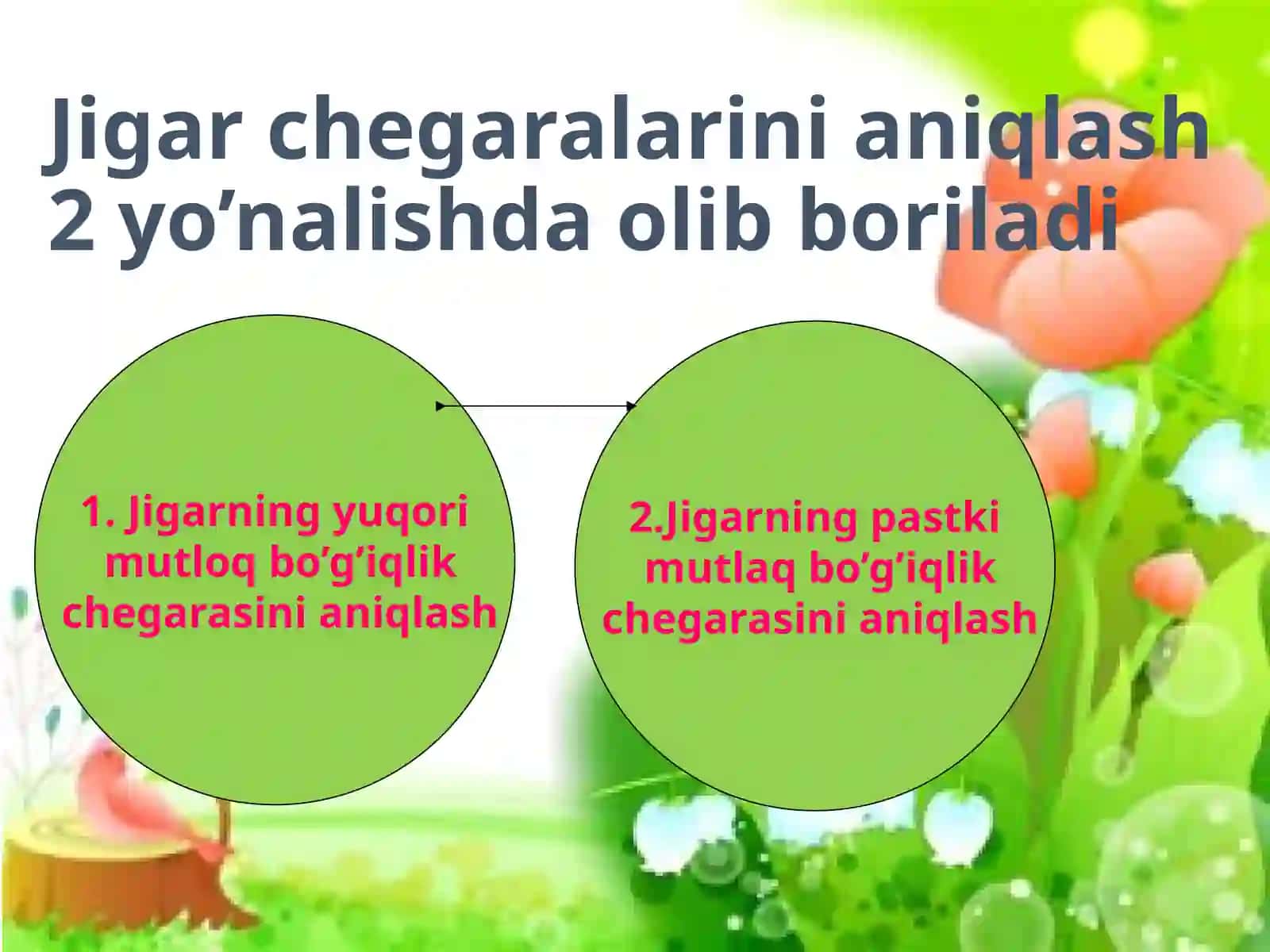 Jigar perkussiyasidagi norma va patalogiya 4