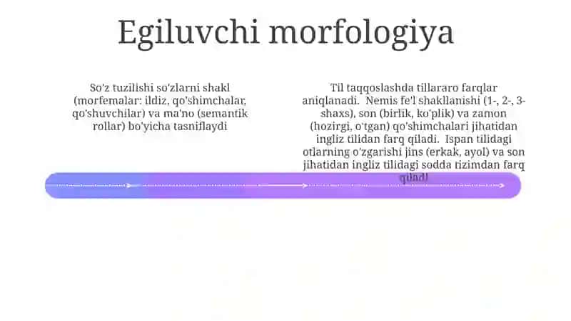 Lug‘at tarkibining shakl va ma‘no munosabati jihatdan tasniflanishi 4