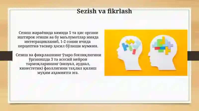 Sezishning psixologik mexanizmlari 4