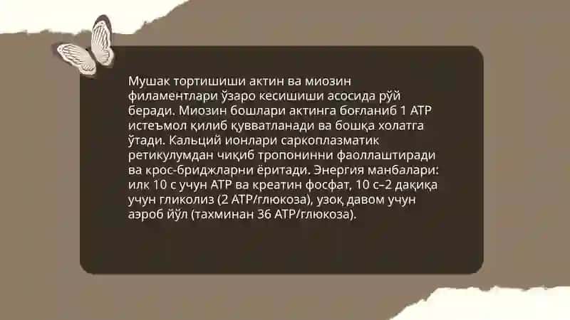 Мускуллар фаолияти ва боланинг жисмоний имкониятлари 4