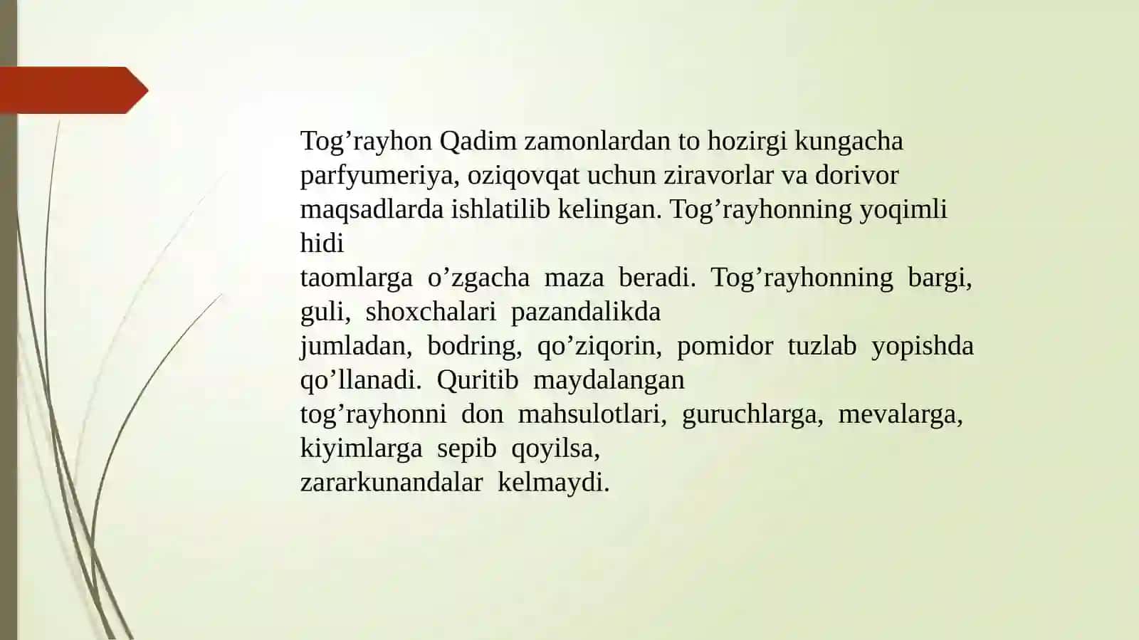 Mayda gulli tog‘ rayhon origanum-tytthanthum gaustch urug‘chiligi va ko‘chatchiligi tahlili 4
