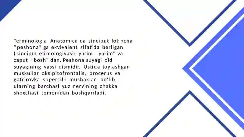 Peshona sohasining​ ahamyati 4