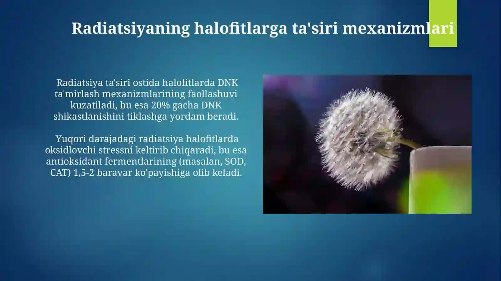 Havfli o'simliklarni paydo bo'lishida radiatsiyaning ta'siri 4