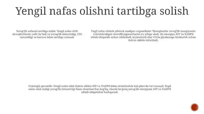 YorugʻLikda Nafas Olishda Ishtirok Etadigan Organoidlar 4