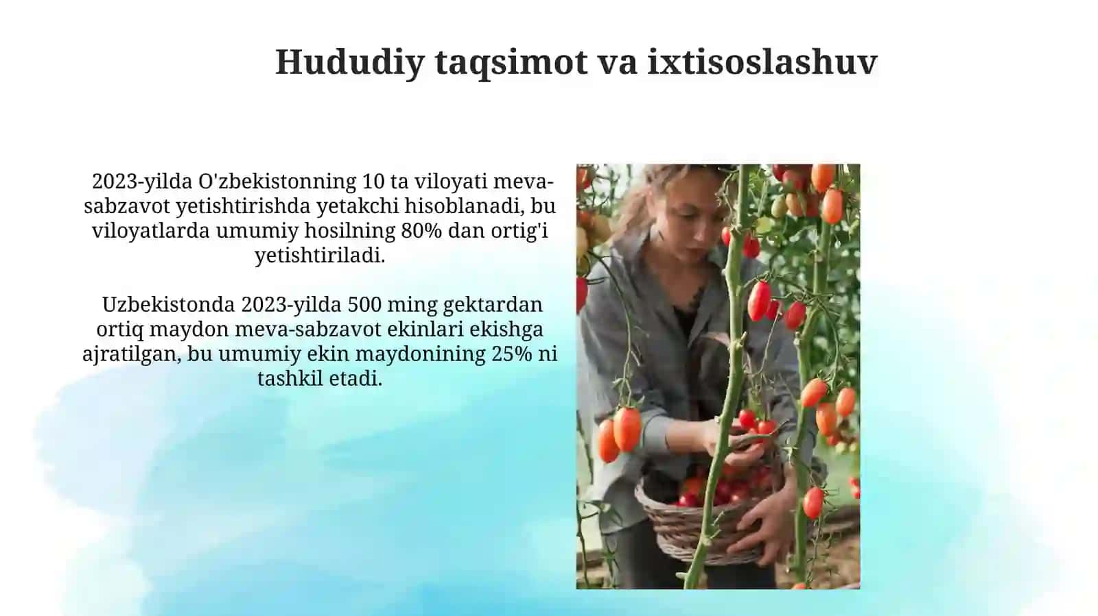 O'zbekiston dagi meva va sabzavotchilik 2023-yilda gi mslumotlar 4