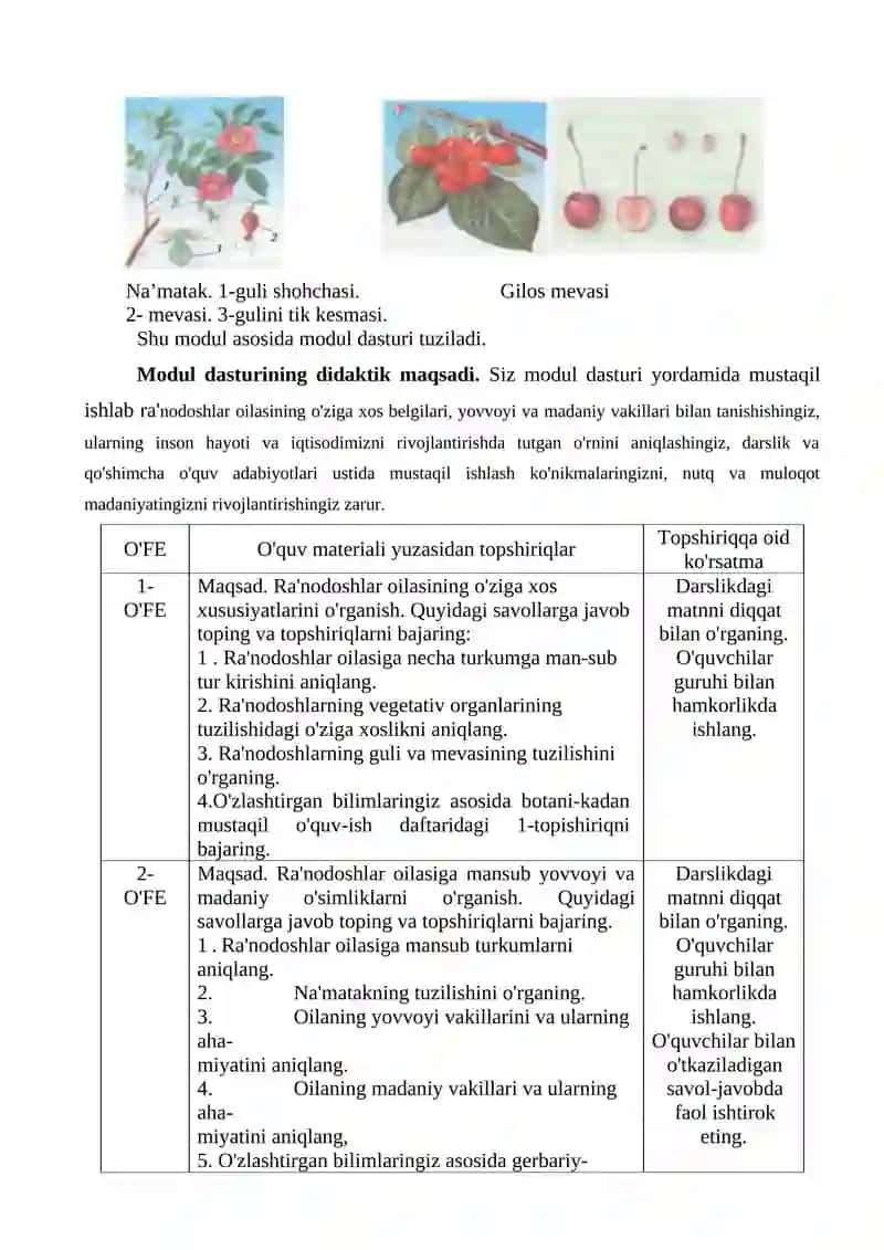 Ra'nodoshlar oilasi 4