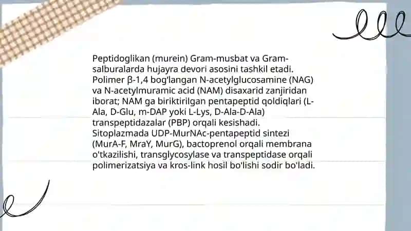 Bakteriya hujayrasining kimyoviy tarkibi 4