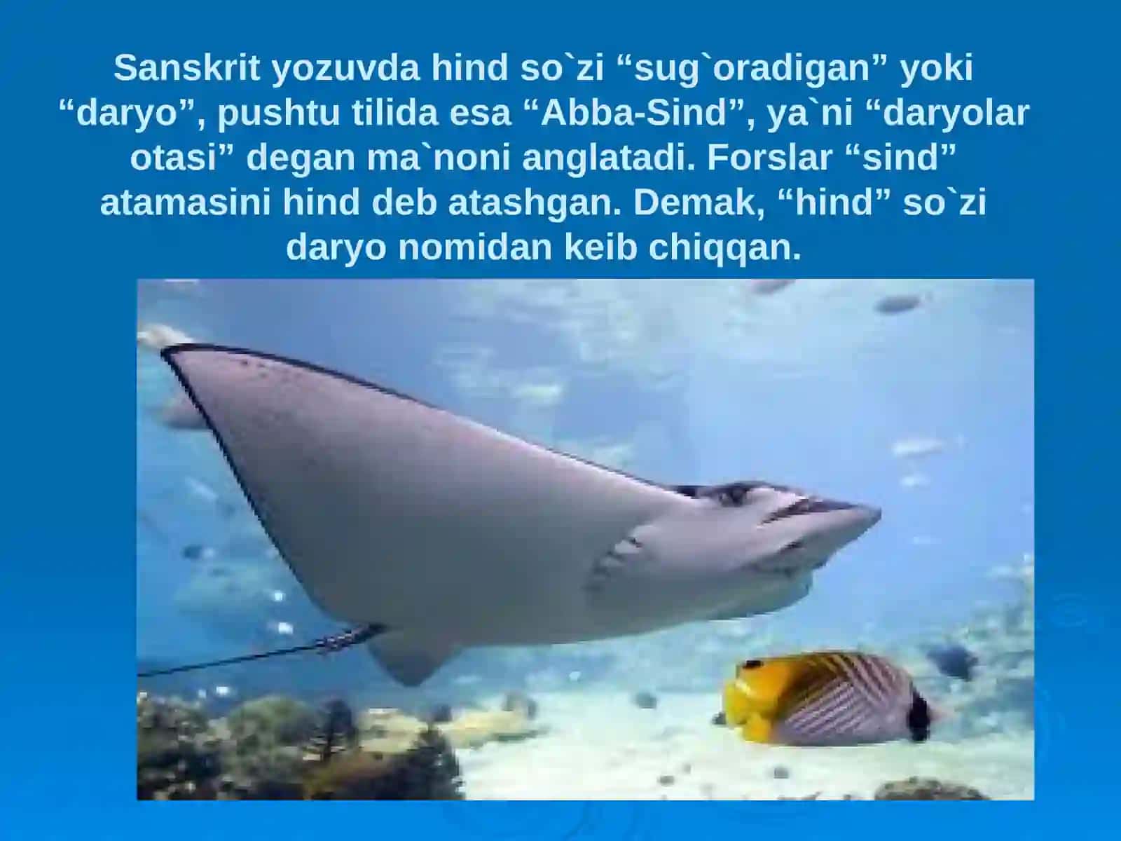 7-sinf Geografiya fanidan Hind okeani mavzusida dars taqdimoti 4