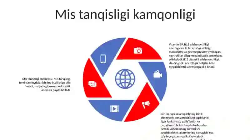 Mis, B9, B12 Vitaminlari Yetishmovchiligida Kelib Chiqadigan Anemiyalarning Biokimyoviy Asoslari 4