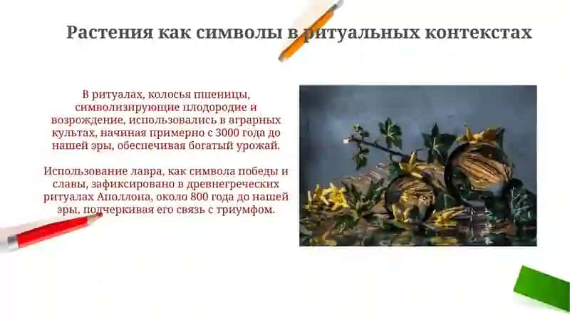 Растительная символика в обрядовой и необрядовой лирике 4