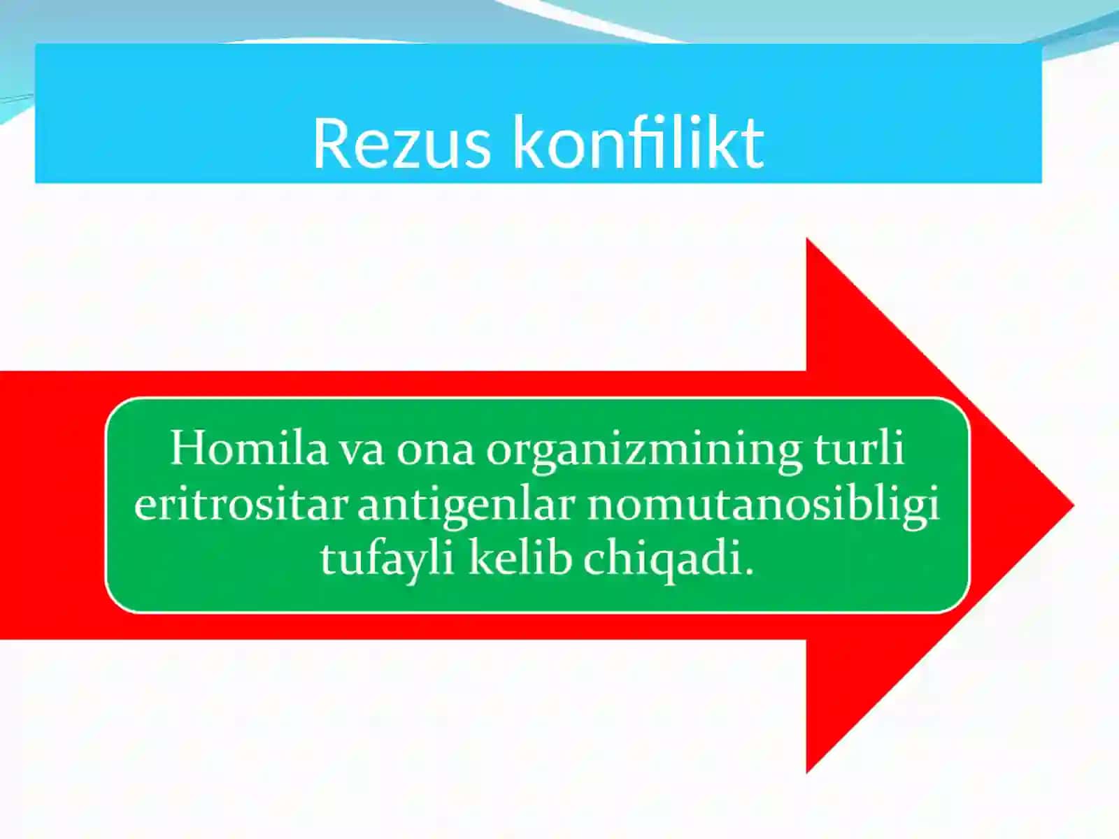 REZUS FAKTOR 4