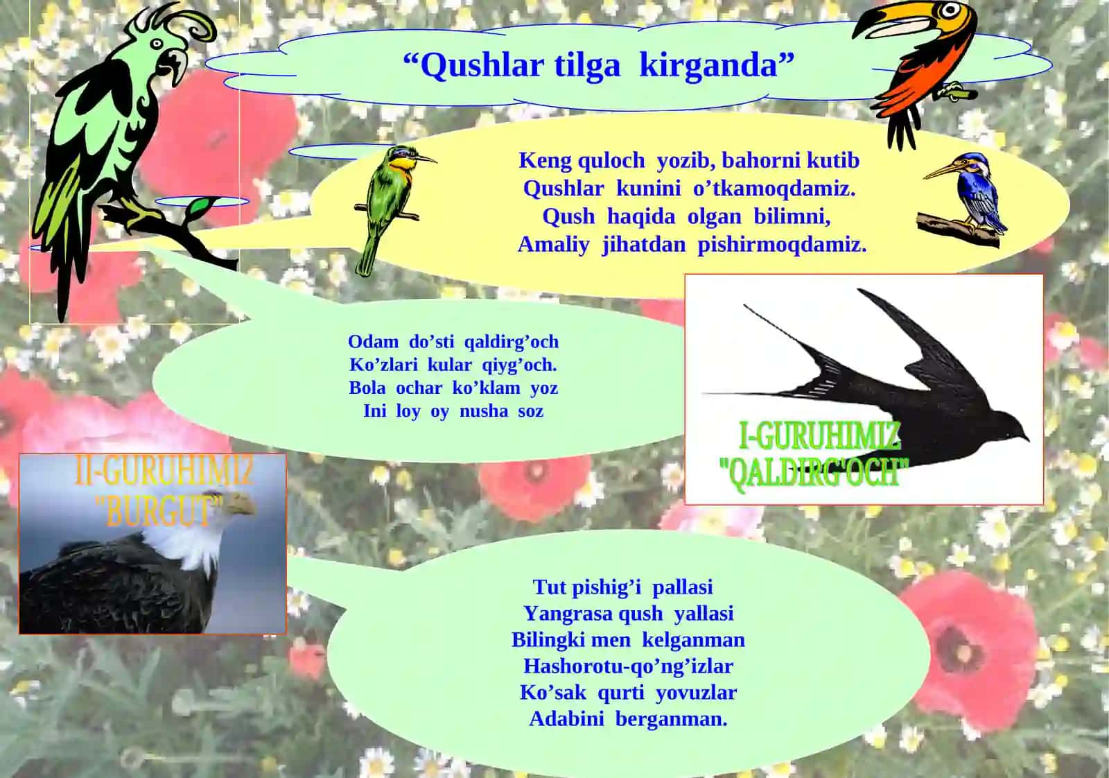 Qushlarning mavsumiy hodisalarga moslashishi 4