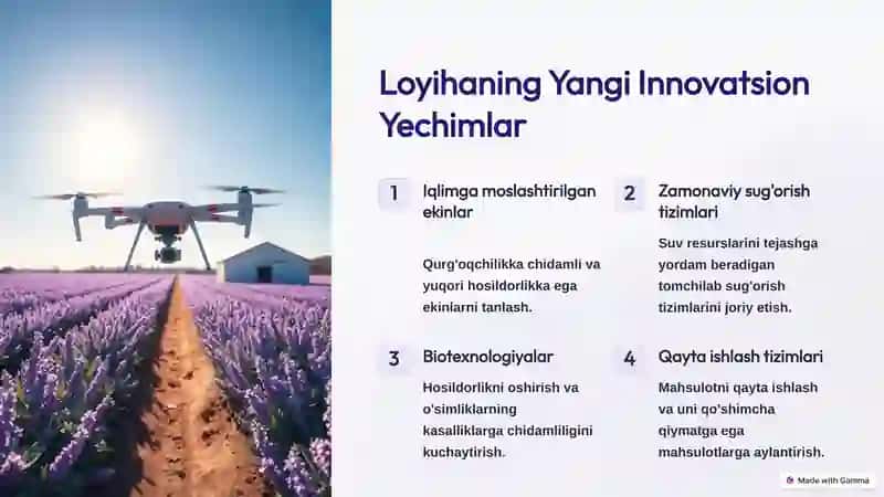 Agrofirmaning investitsiya loyihasi 4