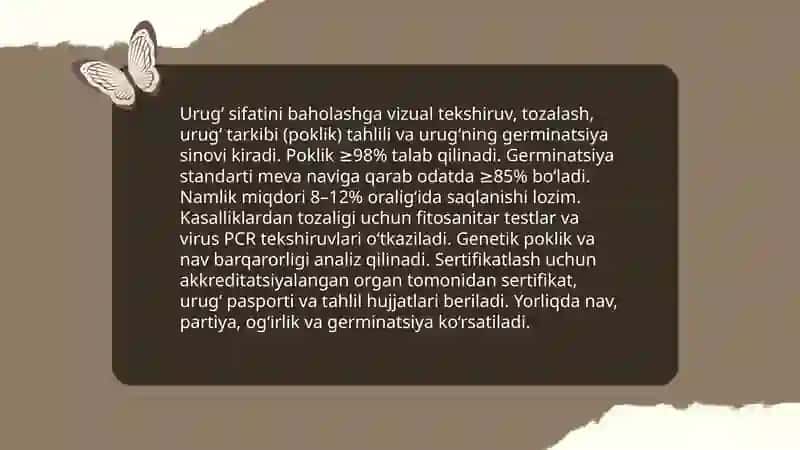 Meva koʻchatzori uchun urugʻlarni ekishga tayyorlash 4