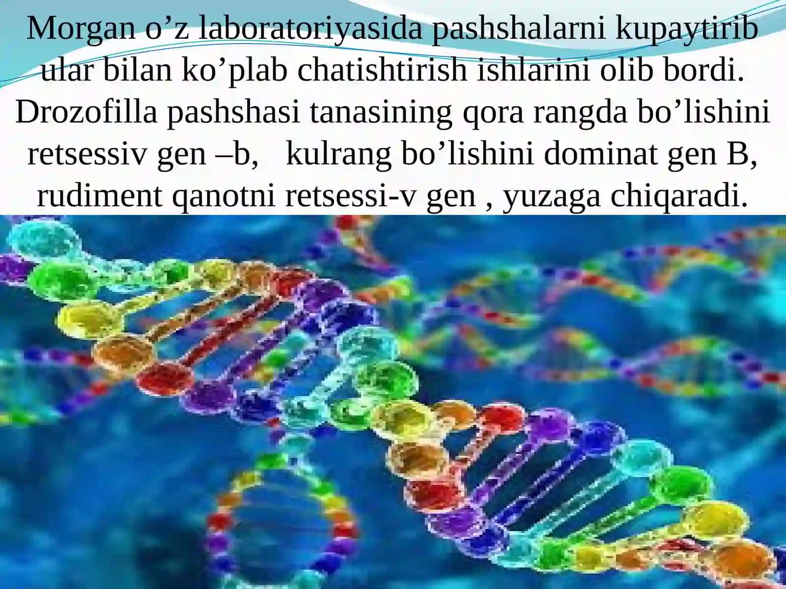 Irsiyatning xromosoma nazariyasi. Jins – irsiy belgi 4