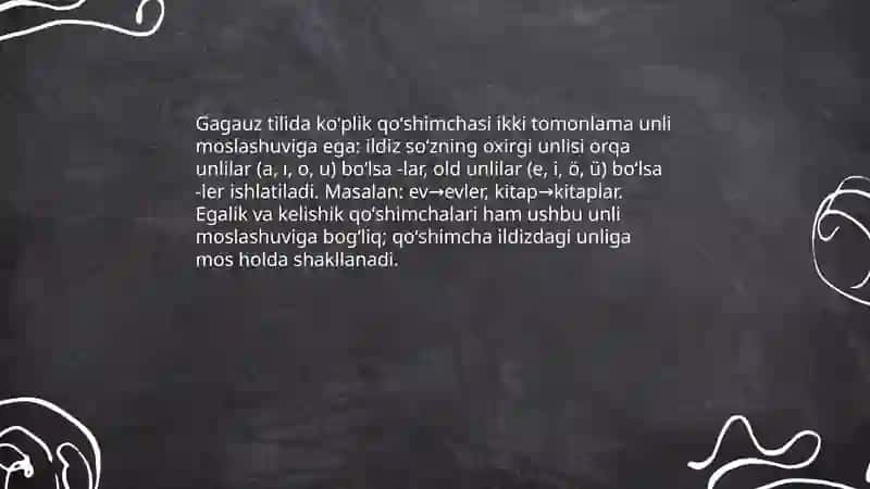 Gagauz tilida koʻplik son va egalik, kelishik kategoriyasi 4