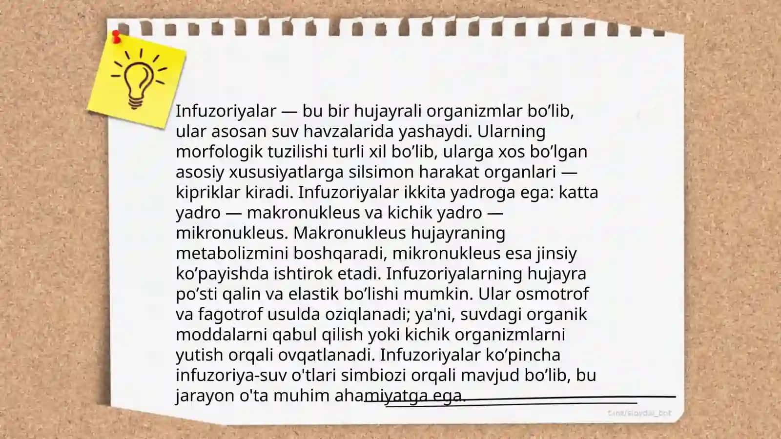 Infuzoriyalar. Morfologik va fiziologik xususiyatlari 4