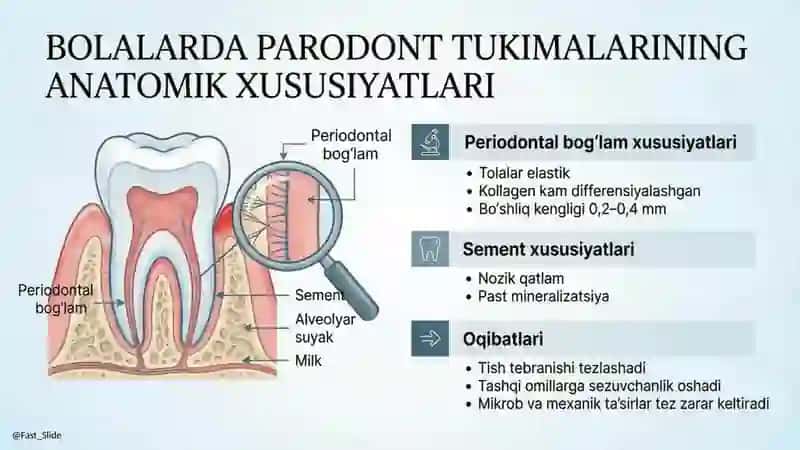Bolalarda parodont tuzilishining anatomik va fiziologikxususiyatlari. Bolalarda parodont kasalliklar 4