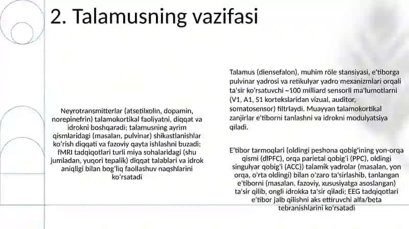 Sezgiviy va Diqqatning Nerv-fiziologik Asoslari 4