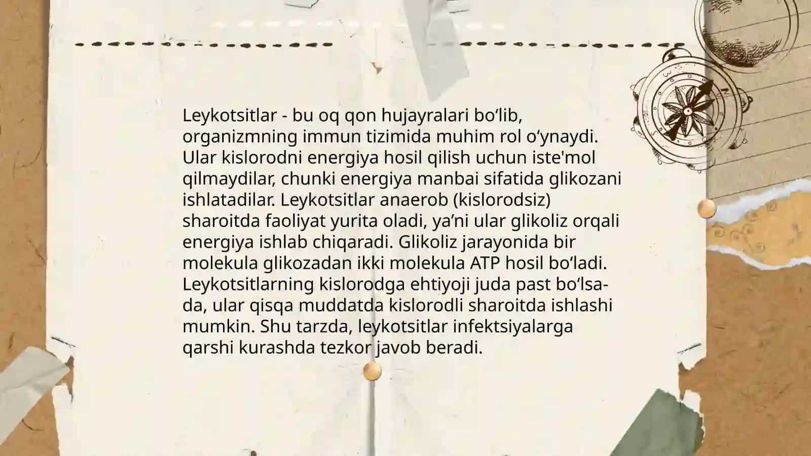Leykotsitlar metabolizmi xususiyatlari 4