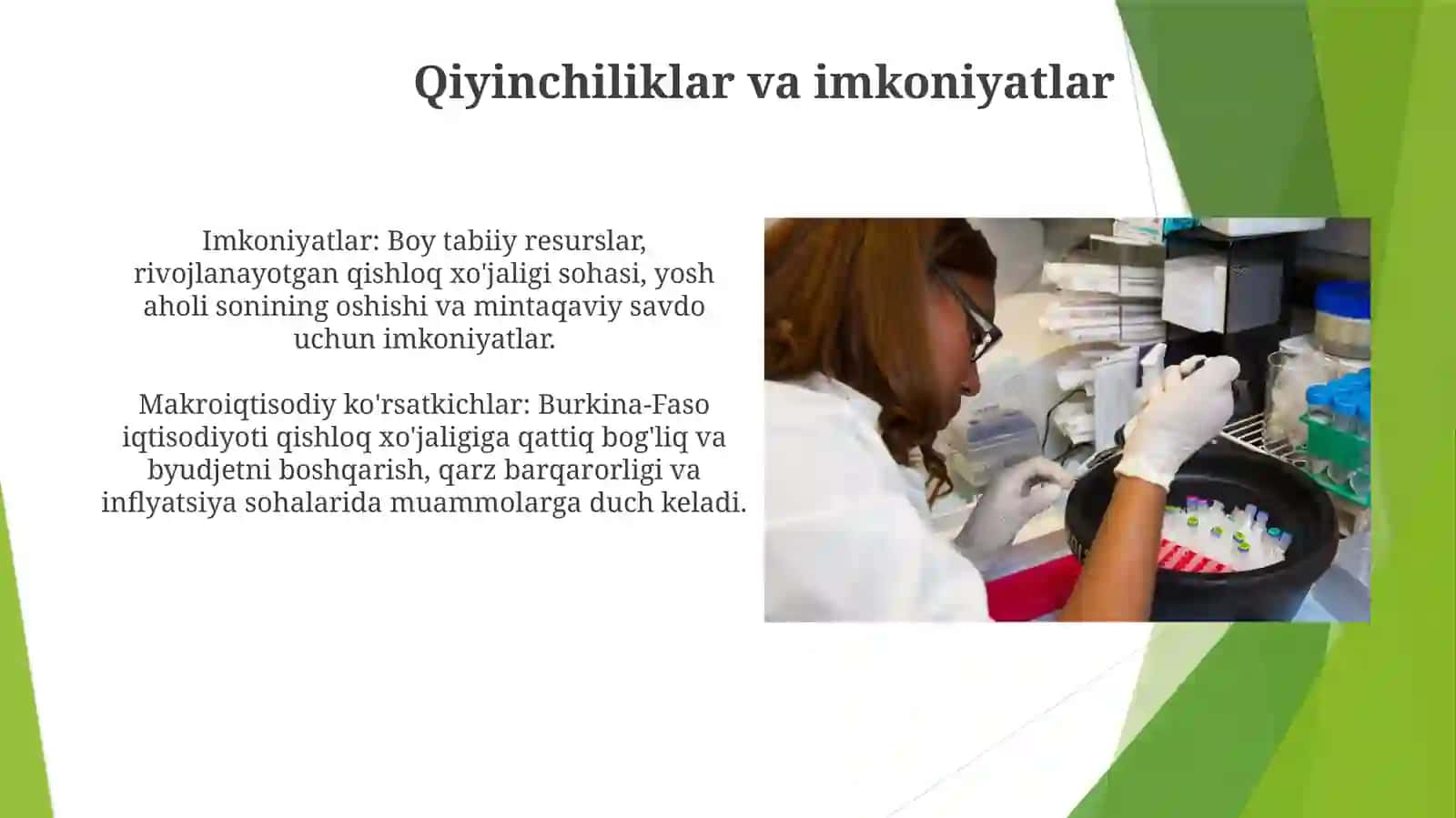Burkina Faso makroiqtisodiy ko'rsatkichlari va ularning tahlili 4