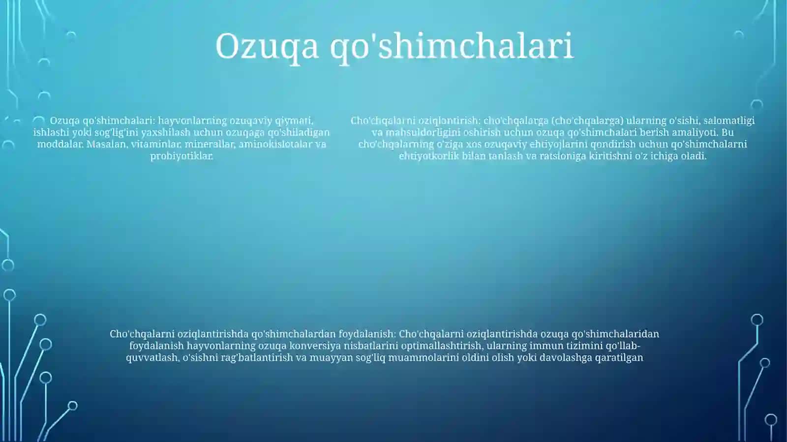 Cho'Chqalarni Oziqlantirish 4