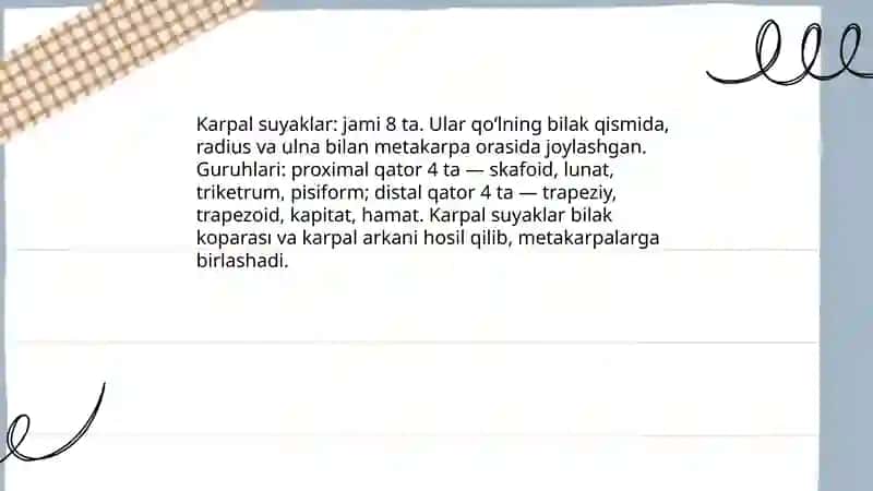 Qoʻl suyaklari va ularning birlashuvi 4