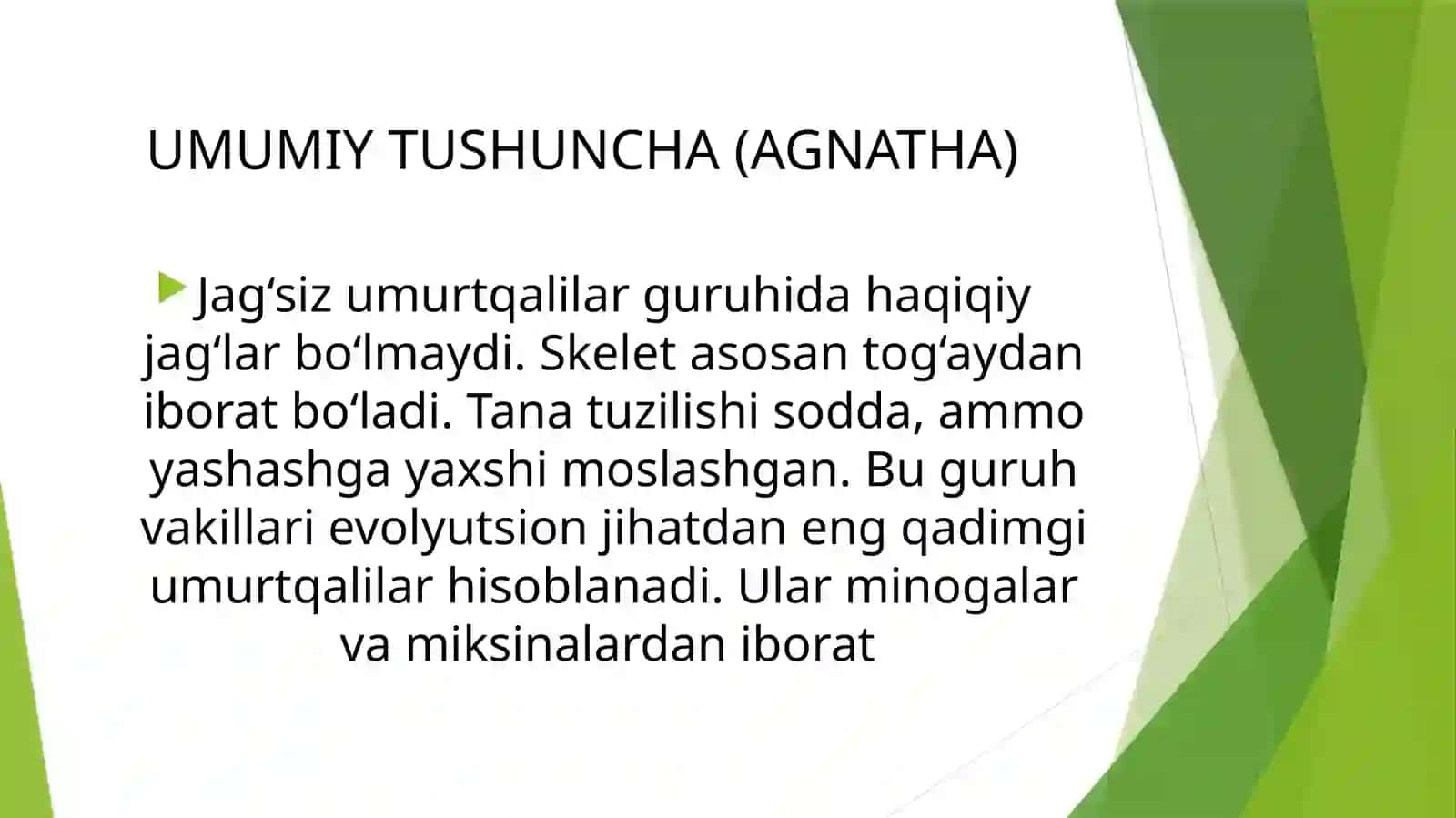 Minogasimonlar - Petpomyzontiformes va Miksinasimonlar - Myxiniformes turkumlari, ekologiyasi va ahmiyati 4