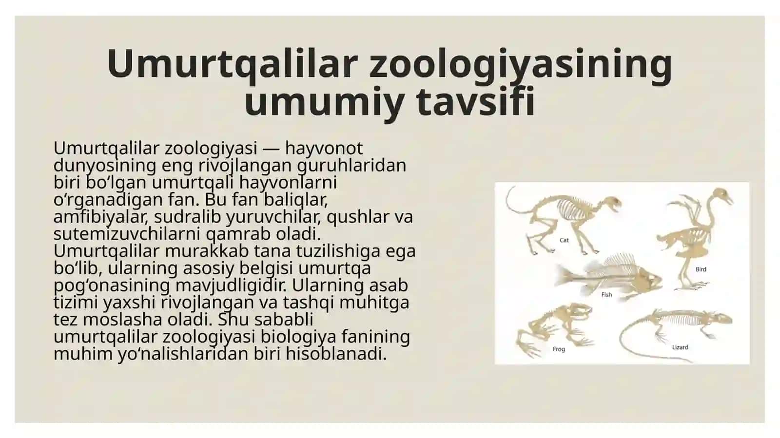 Umurtqalilar zoologiyasining hozirgi zamon biologik fanlar orasida tutgan o'rni. Xordalilar tipi. 4