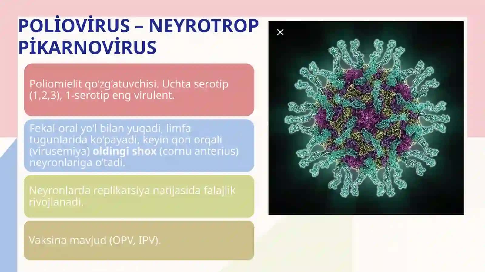 Neyrotrop viruslar: pikarnoviruslar, rabdoviruslar xarakteristikasiva laboratoriya tashxisi 4
