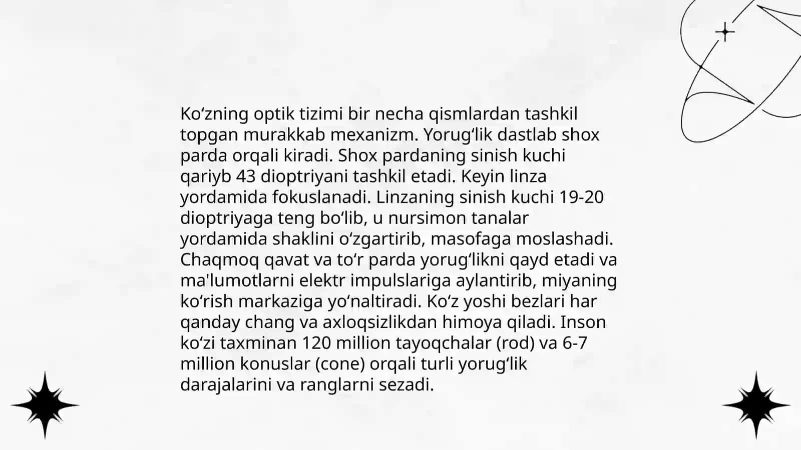 Koʻzning anatomiyasi 4