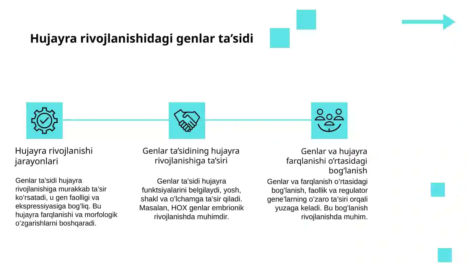Genlar ta’sirining boshqarilishi hujayra differensirovkasi 4