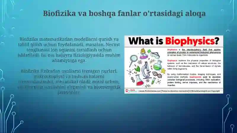 Biofizika fanining bo‘limlari, boshqa fan sohalari bilan aloqadorligi 4
