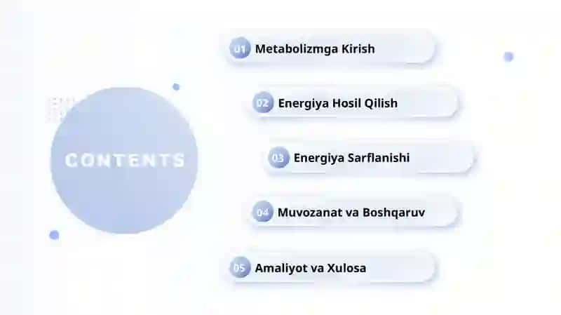 Metabolizm: Energiya Yaratish va Sarflash 4