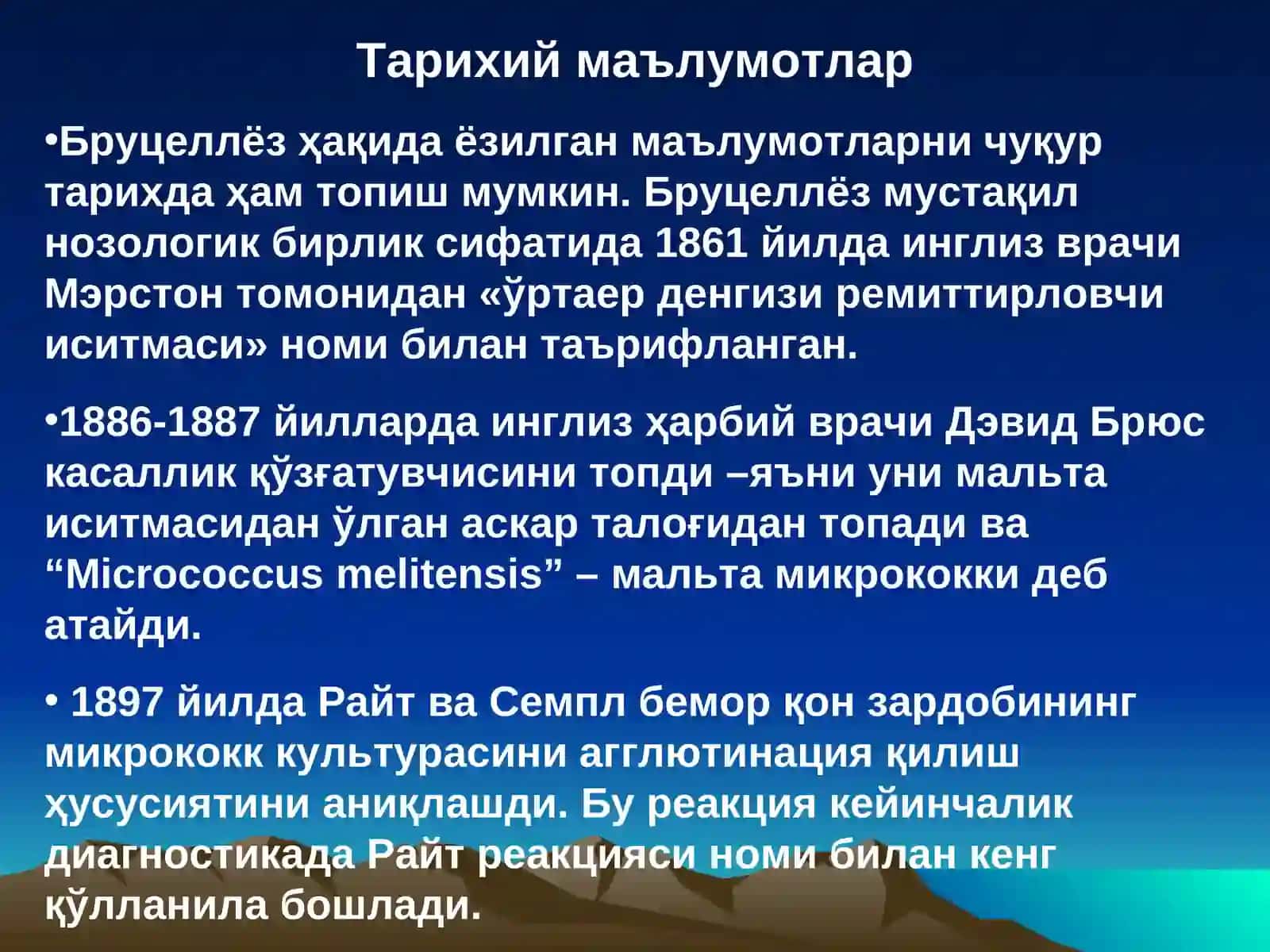 БРУЦЕЛЛЁЗ 4