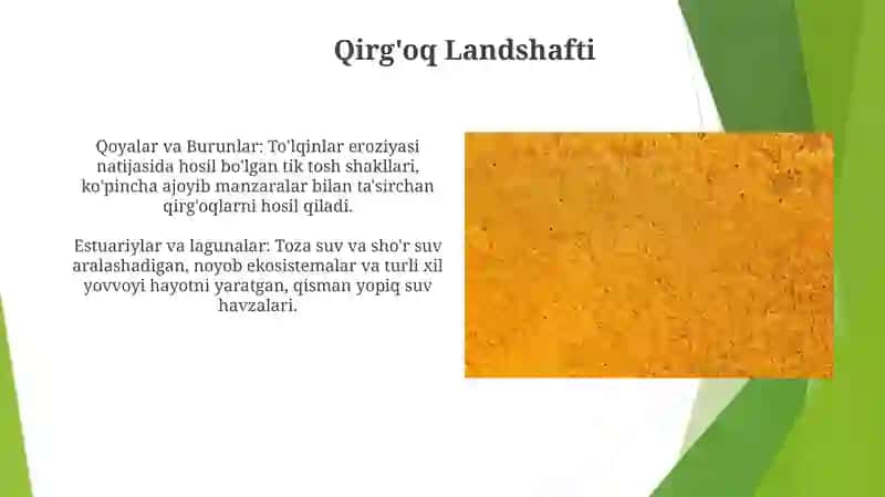 Yevrosiyo materigi qirgʻoq tuzilishining oʻziga xosligi 4